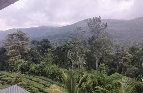 Thankamony part House | Homestay inn