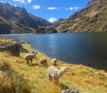 Pisac Hotel | HOMESTAY KINSA COCHA