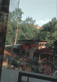 Wonosobo Resort | Homestay legok 24