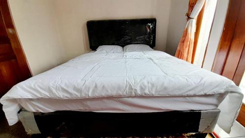 Dieng House | Homestay Merpati Dieng Syariah RedPartner