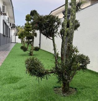 Teriang House | Homestay Triang