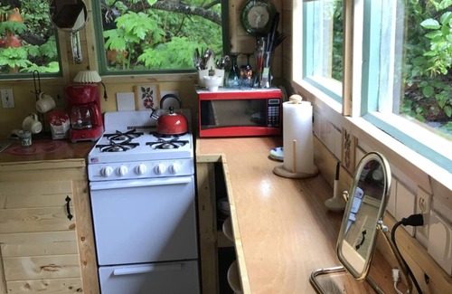 Homer Cabin | Homestead cabin