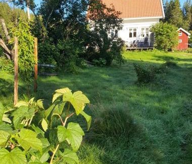 Eidsberg Municipality House | Homestead Holandriver,Lake Skulerud