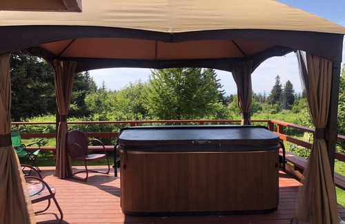 Diamond Ridge House | Homestead Trail Cottage-Hot Tub, Pet friendly & Amazing views