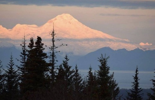 Diamond Ridge House | Homestead Trail Cottage-Hot Tub, Pet friendly & Amazing views