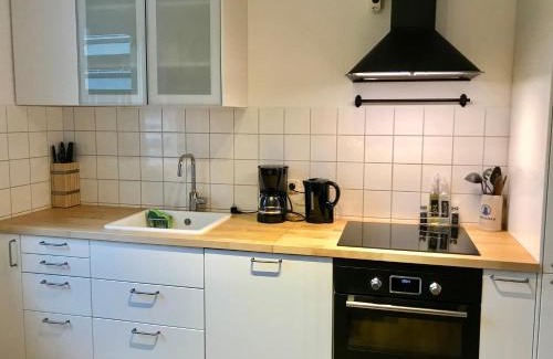 Ludwigshafen-Friesenheim Apartment | Homy 1BR plus Sofabed Business Apart - Near BASF - Super fast Wifi - Free Parking