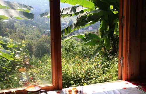 Chaisubani Cabin | Honey Dreams - Fairy house among the green hills