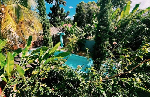 Ocho Rios Apartment | Honeybella - Secluded retreat for two in White River, Ocho Rios