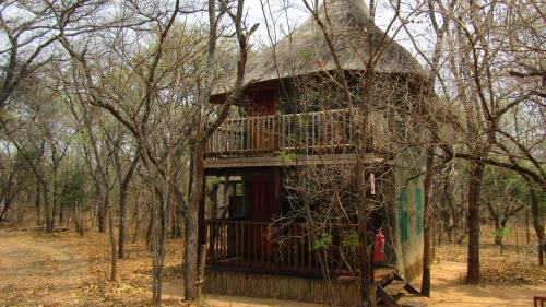 Mookgopong Other | Honeyguide Ranger Camp