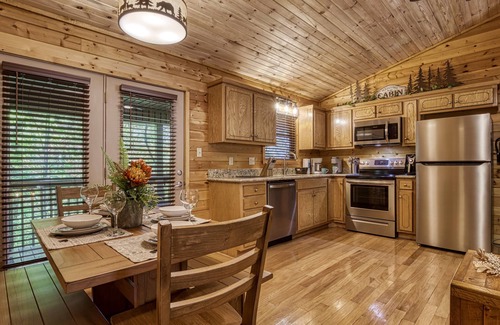 Gatlinburg - Pigeon Forge Cabin | Honeymoon/Anniversary Pigeon Forge Secluded Cabin-Mountain View-Dog Friendly