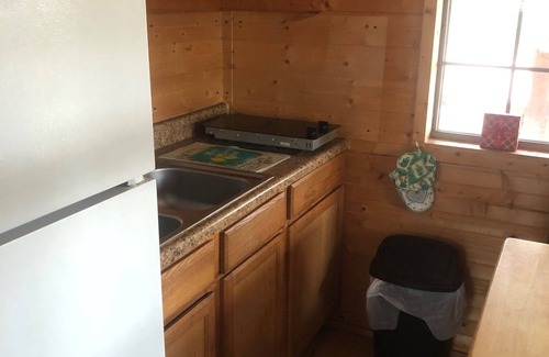 Disney Cabin | Honeymoon Studio Cabin, with Hot Tub in Disney Ok