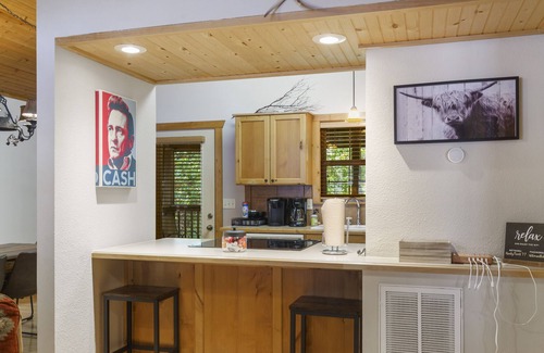Reeds Spring Cabin | Honky Tonk Hideaway | 4 miles to SDC & Indian Point