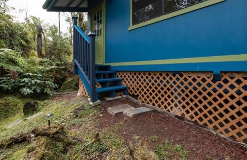 Fern Forest House | Honu Hale
