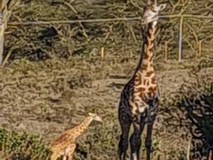 Naivasha Hotel | Horizon holiday homes
