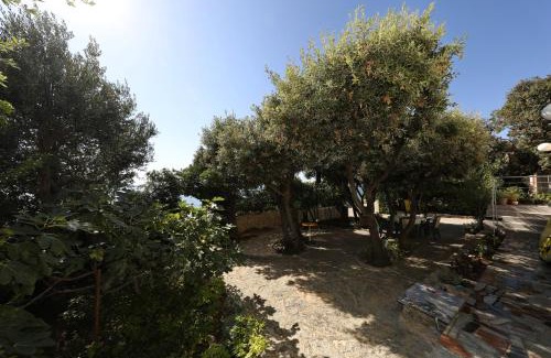 Mandre Apartment | Horizonte apartman