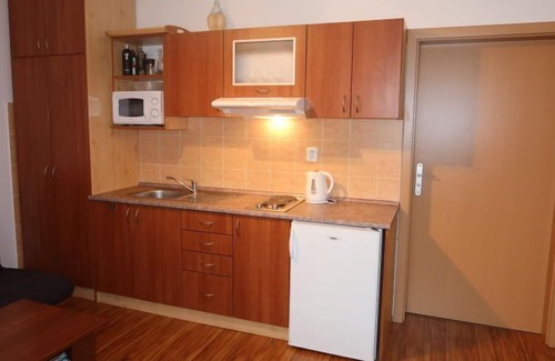 Rokytnice nad Jizerou Apartment | Horní Rokytnice by Interhome