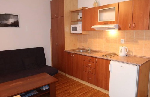 Rokytnice nad Jizerou Apartment | Horní Rokytnice by Interhome