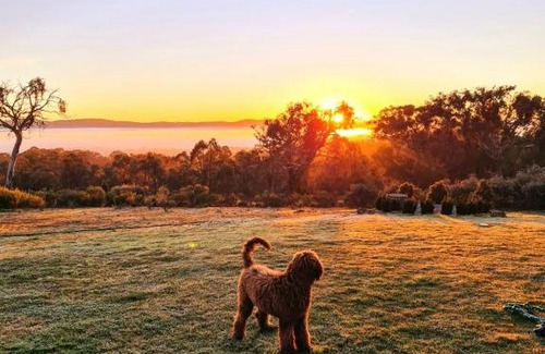 Carwoola Bed & Breakfast | Horningsea