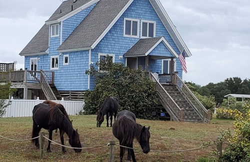 Carova Beach House | Horse Haven - Carova 4x4 Beach - Canal/Water Front - Pool & HotTub - Private Lot