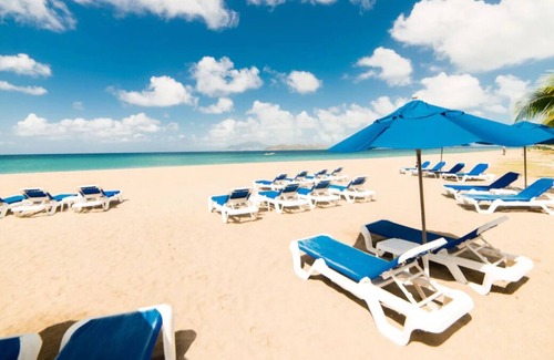 Cotton Ground House | Horse riding in the Caribbean! 3 Space w/ Airport Shuttle & Outdoor Pool
