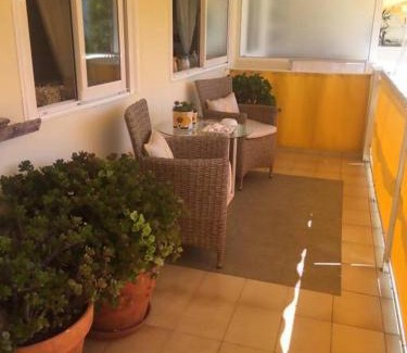 O Grove Apartment | Hortensias de jardín