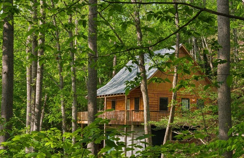 Bryson City Cabin | Horton House Smoky Mountain forest Log Cabin
