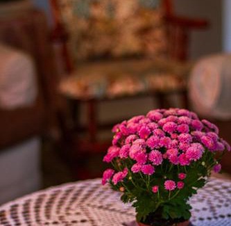 Vila Luiza House | Hospedagem dona Tania