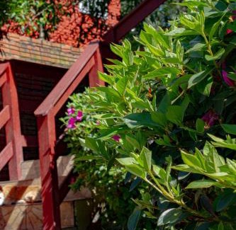Vila Luiza House | Hospedagem dona Tania
