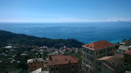 Ruta House | Host alla Millenaria
