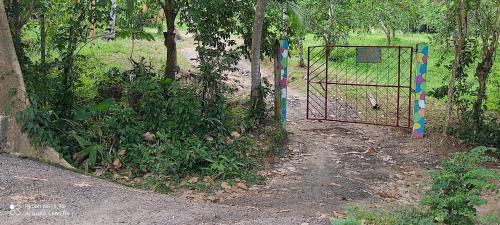 Guachaca House | Hostal Brisas del Campo