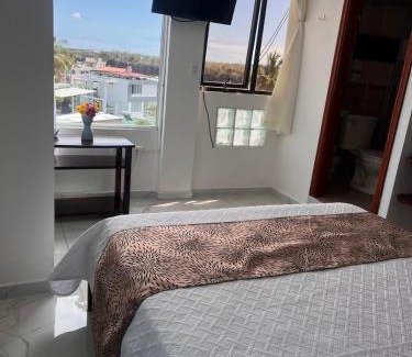 Bahia de la Academia Hotel | Hostal Carliza