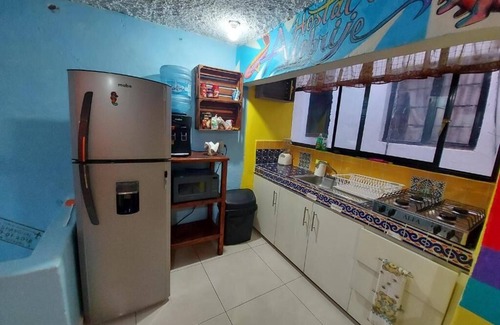 Centro Hotel | Hostal el Alebrije