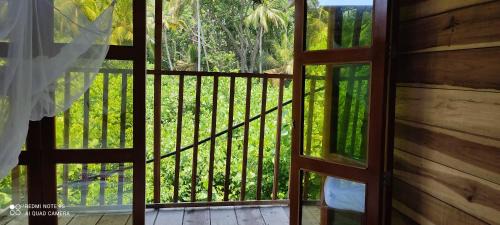 Palomino House | HOSTAL Estrellas del tayrona playa mendihuaca
