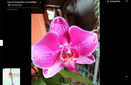 Tarapoa Apartment | Hostal las orquideas