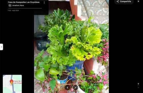 Tarapoa Apartment | Hostal las orquideas
