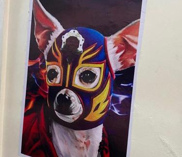 Oaxaca House | Hostal Mil Máscaras