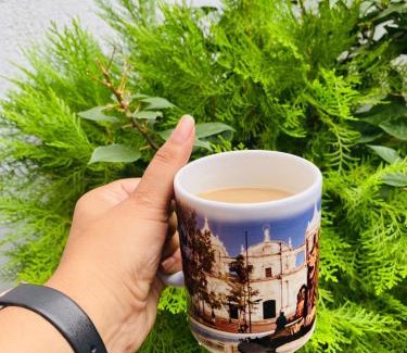 Leon House | Hostal Pochote