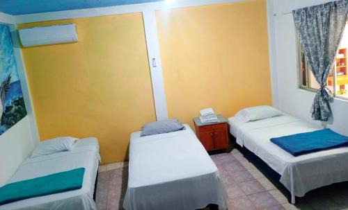 Bahia de la Academia House | Hostal Puerto Ayora