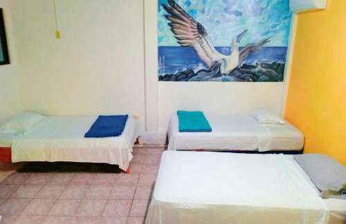Bahia de la Academia House | Hostal Puerto Ayora