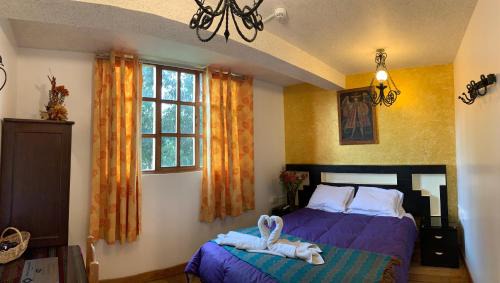 Cusco Historic Center Hotel | Hostal Qolqampata