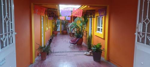 Oaxaca House | Hostal Zipolite Melchor Ocampo