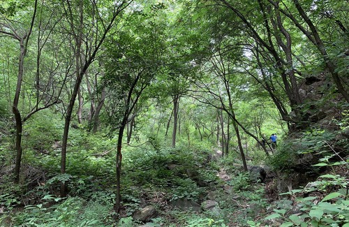 Huairou Hostel | Hostel ∙ 12 guests