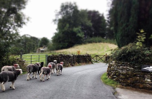 Elterwater Hostel | Hostel ∙ 6 guests