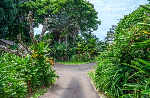 Kealakekua Hostel | Hostel ∙ 8 guests