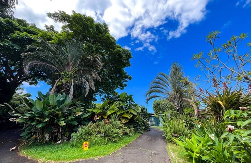 Kealakekua Hostel | Hostel ∙ 8 guests