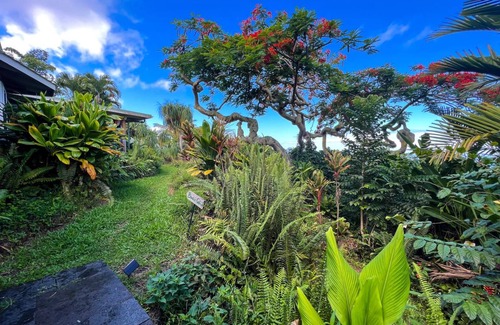 Kealakekua Hostel | Hostel ∙ 8 guests