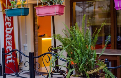 Old Boulevard Hostel | Hostel ∙ 8 guests