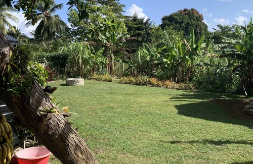 Oracabessa Hostel | Hostel ∙ 8 guests