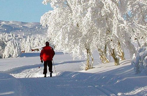 Stoten Hostel | Hostel ∙ 8 guests