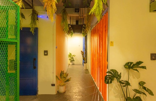 Talat Yot Hostel | Hostel ∙ 8 guests